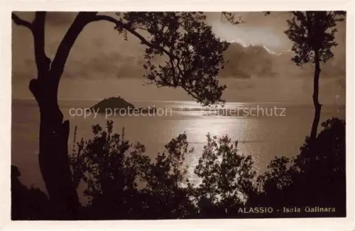 AK / Ansichtskarte ALAssIO Savona Liguria IT Isola Galinara
