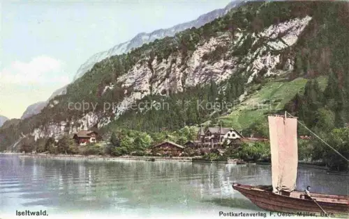 AK / Ansichtskarte Iseltwald Interlaken BE Panorama Bootspartie