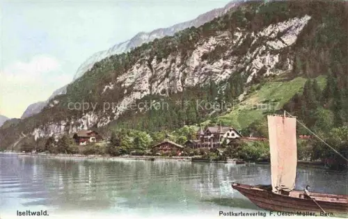 AK / Ansichtskarte Iseltwald Interlaken BE Panorama