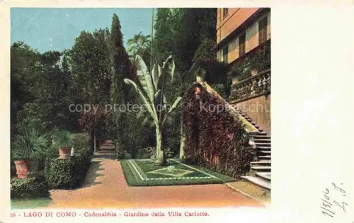 AK / Ansichtskarte Cadenabbia Griante Lago di Como Lombardia IT Giardino della Villa Carlotta