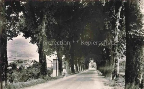 AK / Ansichtskarte Viuz-en-Sallaz Bonneville 74 Haute-Savoie Avenue des Marronniers