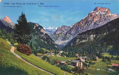 AK / Ansichtskarte Les Plans-sur-Bex VD Lion d'Argentine Tete a Pierre Grept Grand Muveran