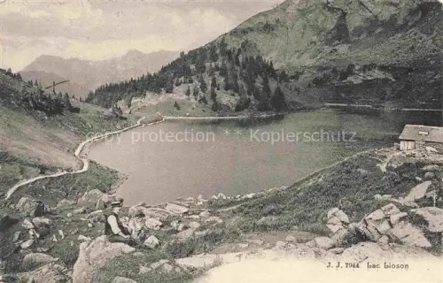 AK / Ansichtskarte Lac Lioson Ormont Dessous VD Panorama