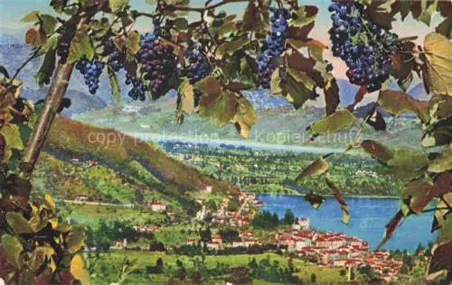 AK / Ansichtskarte Ponte-Tresa Lago di Lugano TI Panorama