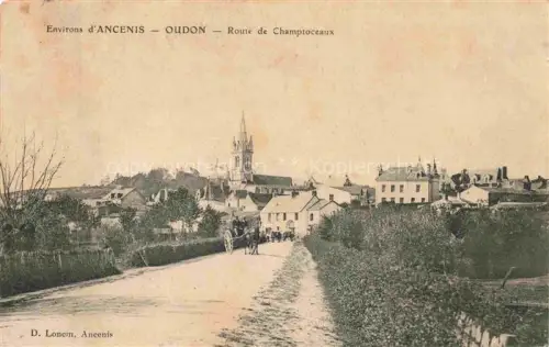 AK / Ansichtskarte Oudon Ancenis 44 Loire-Atlantique Route de Champtoceaux