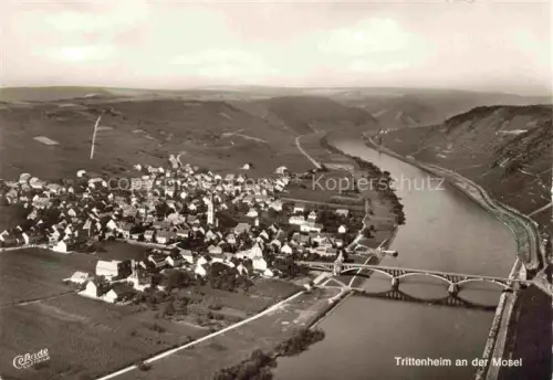 AK / Ansichtskarte Trittenheim Mosel Neumagen-Dhron Rheinland-Pfalz Panorama Moseltal