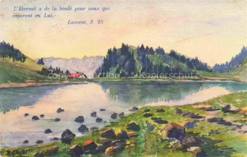 AK / Ansichtskarte Lac Lioson Ormont Dessous VD Panorama