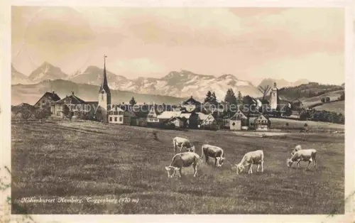 AK / Ansichtskarte Hemberg Toggenburg SG Panorama