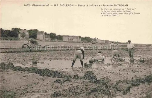 AK / Ansichtskarte St-Trojan-les-Bains Ile d Oleron 17 Charente-Maritime Parcs à huîtres