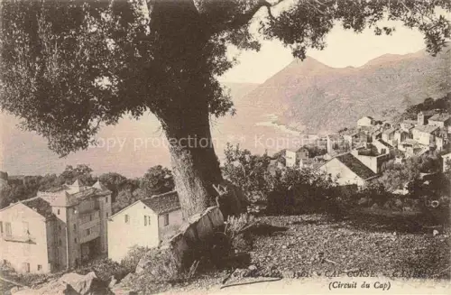 AK / Ansichtskarte Canari Bastia 2B Haute-Corse Vue générale