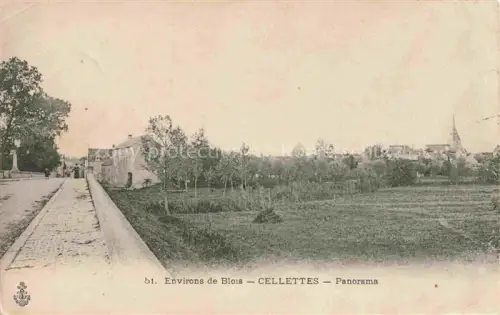 AK / Ansichtskarte Cellettes BLOIS 41 Loir-et-Cher Panorama