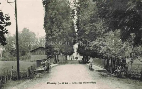 AK / Ansichtskarte Chouzy-sur-Cisse 41 Loir-et-Cher Allée des Marronniers