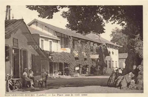 AK / Ansichtskarte Bourg Biscarrosse 40 Landes La place sour le vieil orme