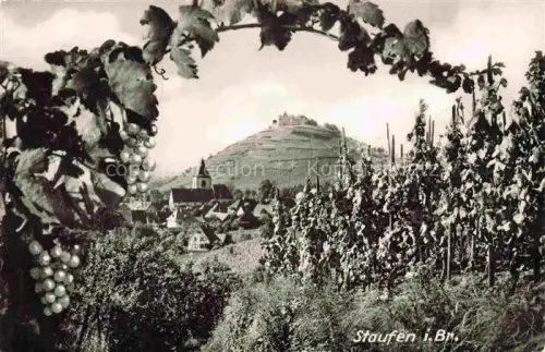 AK / Ansichtskarte Staufen  Breisgau Blick durch die Weinberge zur Burg