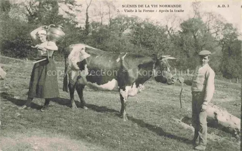 AK / Ansichtskarte Kuehe Landwirtschaft Scenes de la vie Normandie Farm 