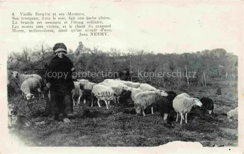 AK / Ansichtskarte Schaeferei Sheperding Bergerie-- Nesmy Moutons 