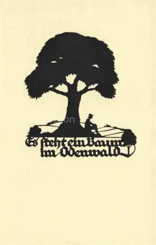 AK / Ansichtskarte SCHWINDT A. M. Kuenstlerkarte Schattenbild Baum Odenwald 
