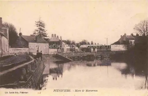 AK / Ansichtskarte Pithiviers-en-Gatinais 45 Loiret Mare de Marcereau