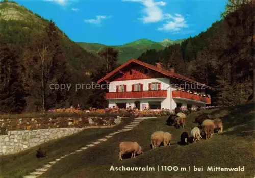 AK / Ansichtskarte MITTENWALD Bayern Aschaueralm