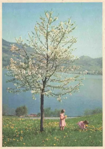 AK / Ansichtskarte ZueRICH  ZH Am Lowerzersee