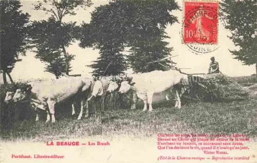 AK / Ansichtskarte Kuehe la Beauce les Boeufs