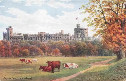 AK / Ansichtskarte QUINTON Alfred Robert ARQ (1853-1934) Kuenstlerkarte Nr. 1182 Windsor Castle North Front Kuehe England 
