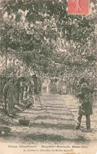AK / Ansichtskarte Eauze Condom 32 Gers Champ d'Expériences Monplaisier-Bourrache