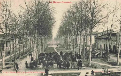 AK / Ansichtskarte Grenade TOULOUSE 31 Haute-Garonne Allée Alsace-Lorraine