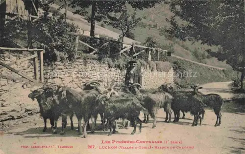 AK / Ansichtskarte LUCHON Bagneres-de-Luchon 31 Haute-Garonne Retour du chevrier