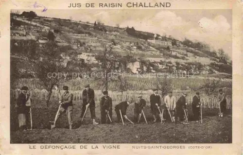 AK / Ansichtskarte Nuits-Saint-Georges Beaune 21 Cote-d Or Le défoncage de la vigne Jus de Raisin Challand