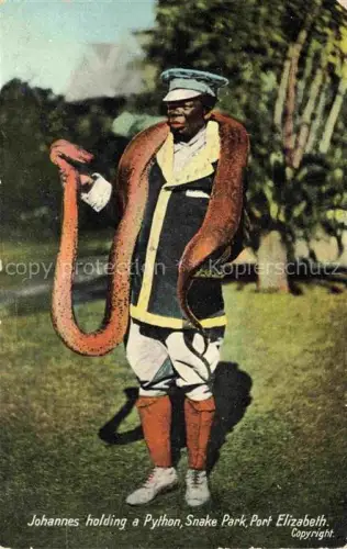 AK / Ansichtskarte SCHLANGEN Snakes Serpents Serpientes-- Johannes Holding Python Port Elizabeth 
