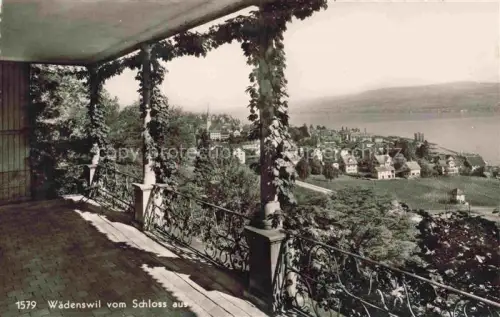 AK / Ansichtskarte Waedenswil Waedensweil ZH Blick vom Schloss