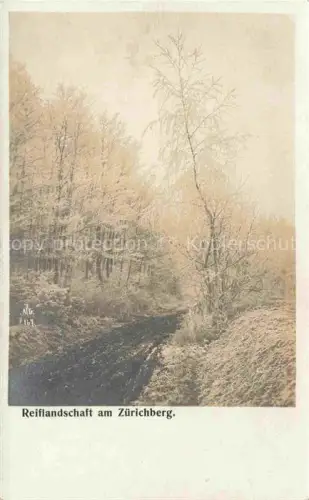 AK / Ansichtskarte Zuerichberg ZH Reiflandschaft am Zuerichberg