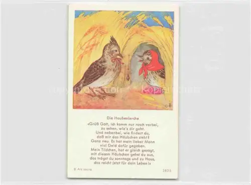 AK / Ansichtskarte IBM BOHATTA-MORPURGO Ida (1900-1992) Kuenstlerkarte Nr. 3825 Die Haubenlerche 
