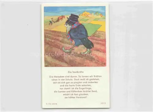 AK / Ansichtskarte IBM BOHATTA-MORPURGO Ida (1900-1992) Kuenstlerkarte Nr. 3825 Die Saatkraehe 