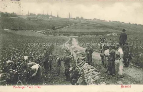 AK / Ansichtskarte BEAUNE 21 Cote-d Or Vendanges aux Cras