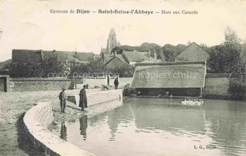 AK / Ansichtskarte Saint-Seine-l Abbaye Mare aux Canards