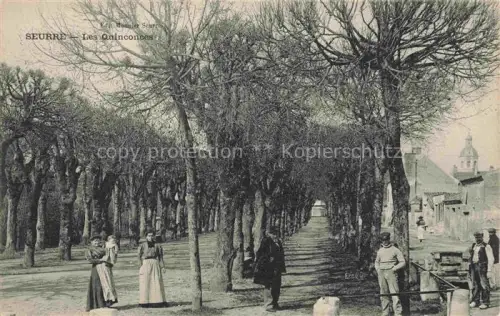 AK / Ansichtskarte Seurre Beaune 21 Cote-d Or Les Quinconces