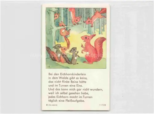 AK / Ansichtskarte IBM BOHATTA-MORPURGO Ida (1900-1992) Kuenstlerkarte Nr. 11728 Eichhornkinderlein Wald