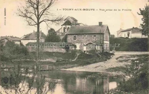 AK / Ansichtskarte Togny-aux-Boeufs Chalons-en-Champagne 51 Marne Vue prise de la Prairie
