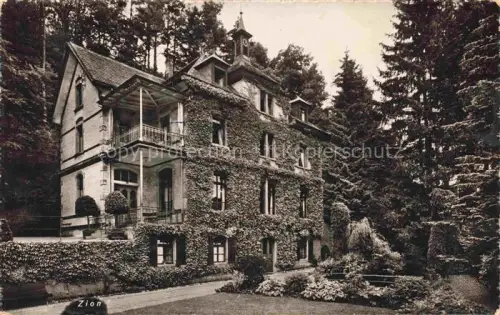 AK / Ansichtskarte Raemismuehle ZH Asyl