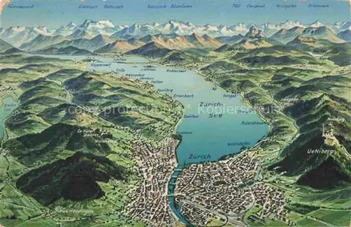 AK / Ansichtskarte ZueRICH  ZH Panoramakarte mit Zuerichsee
