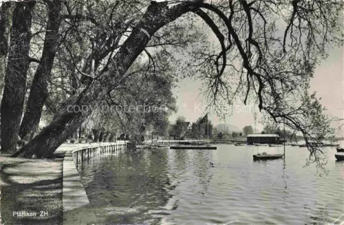 AK / Ansichtskarte Pfaeffikon am See ZH Seepanorama