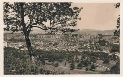 AK / Ansichtskarte Adliswil Adlisweil HORGEN ZH Panorama