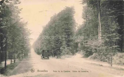 AK / Ansichtskarte BRUXELLES Bruessel Brussels Bois de la Cambre Dreve de Lorraine