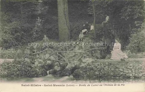 AK / Ansichtskarte Saint-Mesmin La Chapelle-Saint-Mesmin 45 Loiret Bords du Loiret au Chateau de la Pie