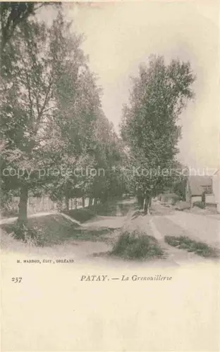 AK / Ansichtskarte Patay Orleans 45 Loiret La Grenouillerie