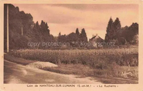AK / Ansichtskarte Nanteau-sur-Lunain Fontainebleau 77 Seine-et-Marne La Rochette