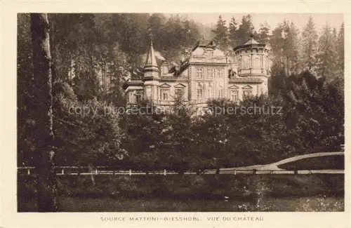 AK / Ansichtskarte Giesshuebel Adlergebirge CZ Source Mattoni-Giesshuebl Vue du Chateau