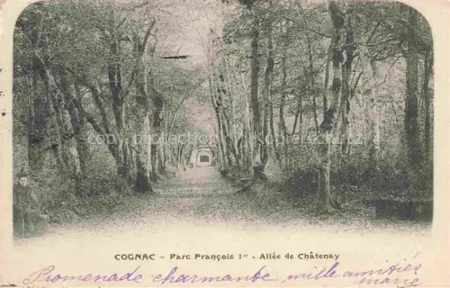 AK / Ansichtskarte COGNAC 16 Charente Parc Francois Ier Allee de Chatenay